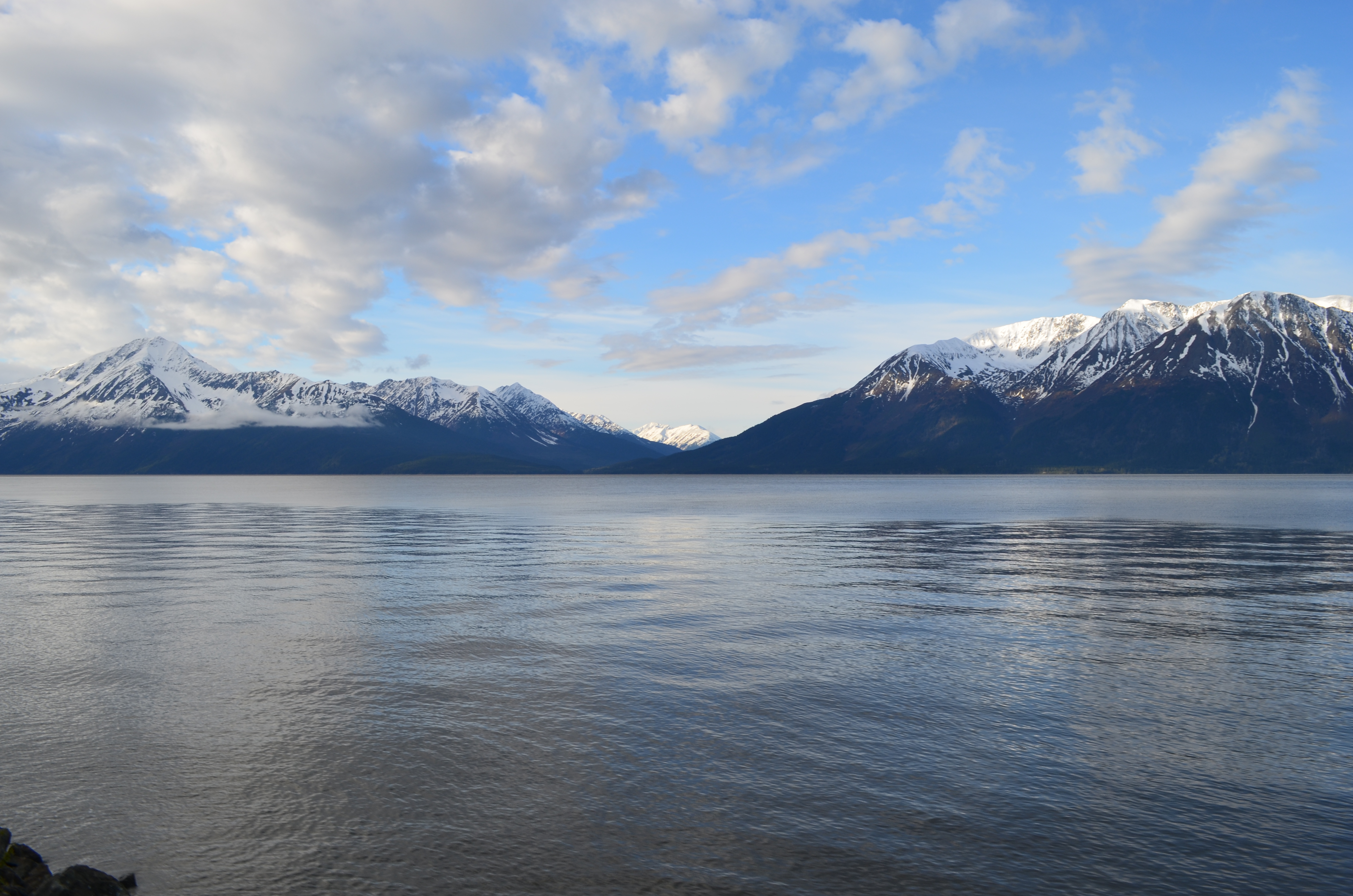 ./2017/08 - Alaska Cruise/05 - Train to Seward/DSC_0446.JPG